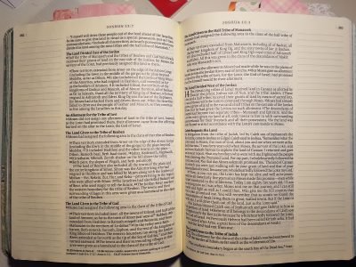 Bibel med breda marginaler